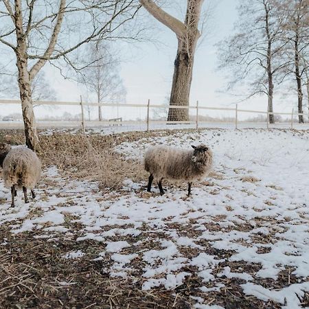 Our Farm Ferienwohnung Grasberg Eksteriør billede