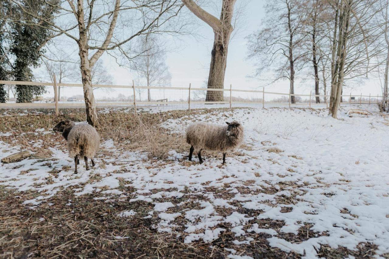 Our Farm Ferienwohnung Grasberg Eksteriør billede