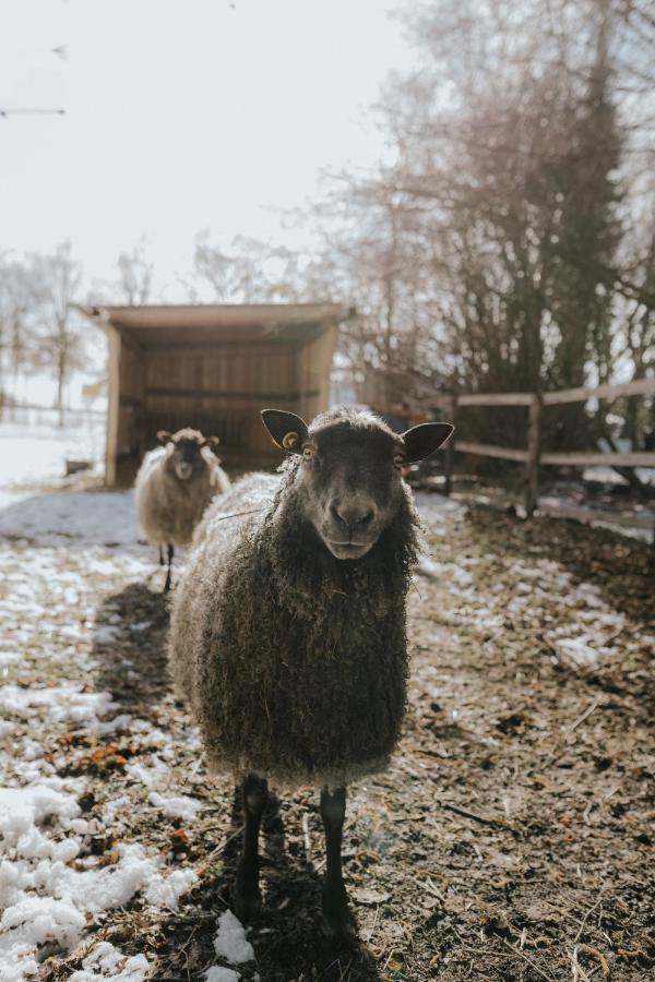 Our Farm Ferienwohnung Grasberg Eksteriør billede